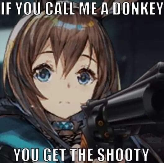 Arknights Amiya if you call me a donkey you get the shooty.JPG