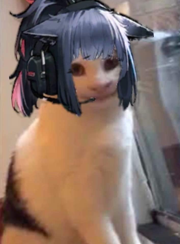 Arknights Jessica nervous jessicat.JPG