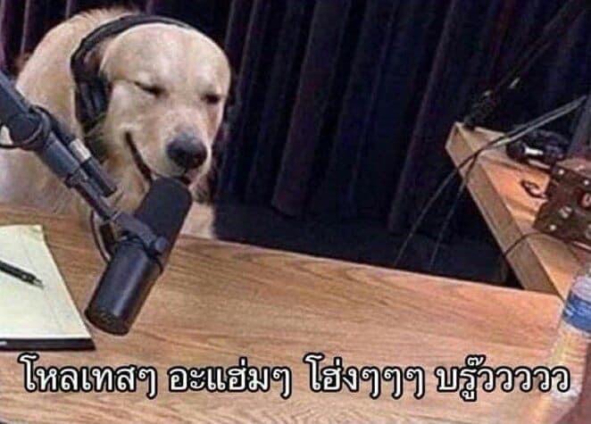 Dog โหลเทสๆ อะแฮ่มๆ โฮ่งๆๆๆๆ บรู๊วววว.JPG