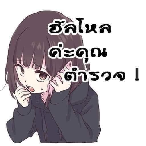 FBI ฮัลโหลค่ะคุณตำรวจ.JPG