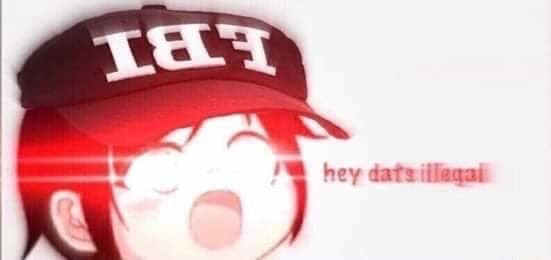 FBI hey dats illegal.JPG