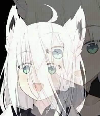 Hololive Fubuki Confused.JPG