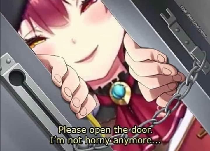 Hololive Marine please open the door i'm not horny anymore.JPG