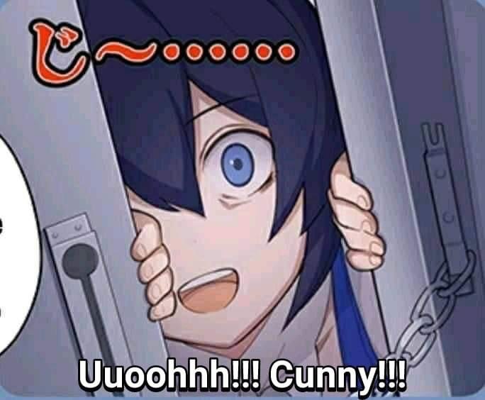 Honkai Impact Seele Uooh Cunny.JPG