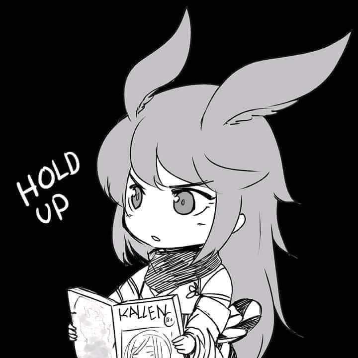 Honkai Impact Yae hold up.JPG